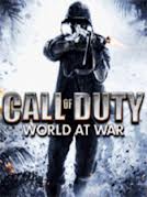 Call of Duty 5 World at War 240x320.jar